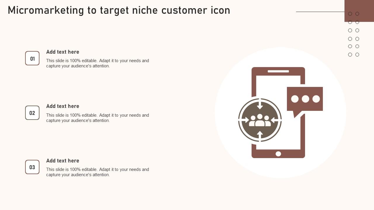 Micromarketing To Target Niche Customer Icon Summary Pdf