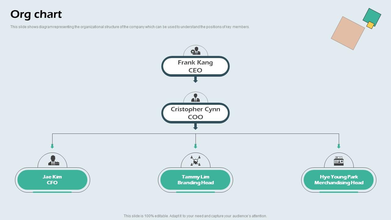 Org Chart Beauty Brand Capital Raising Pitch Deck Icons Pdf