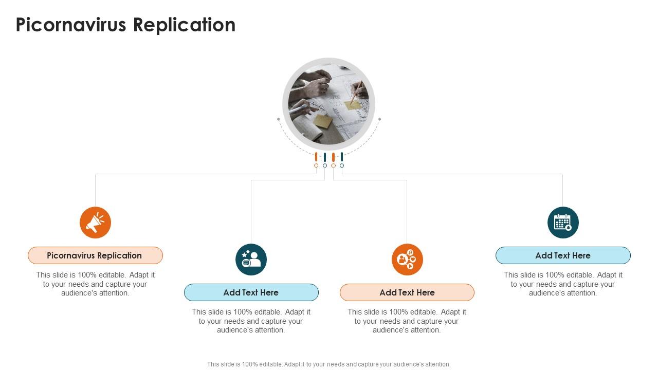 Picornavirus Replication In Powerpoint And Google Slides Cpb