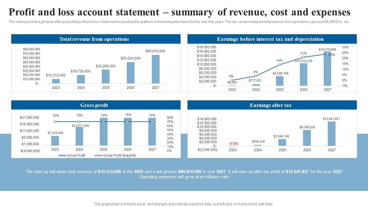 Profit And Loss Account Statement Summary Elderly Care Business Plan Go To Market Strategy Icons Pdf