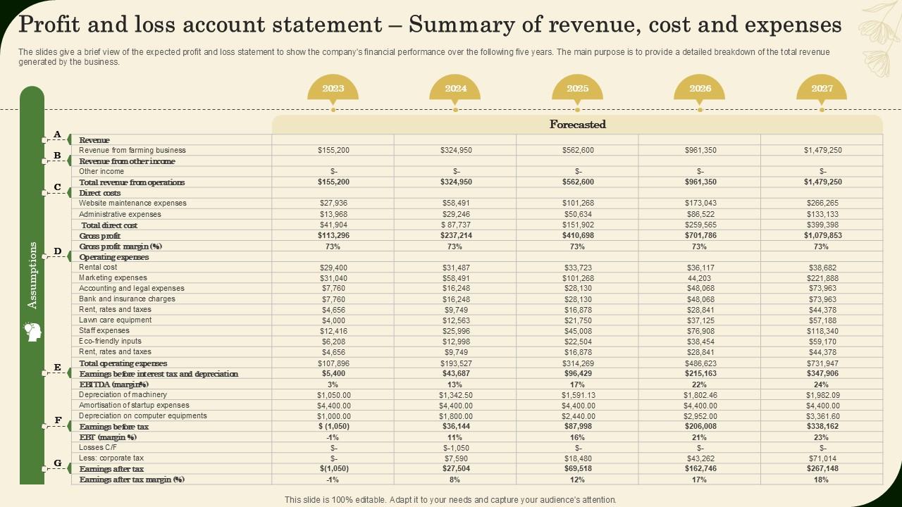 Profit And Loss Account Statement Summary Of Revenue Landscaping