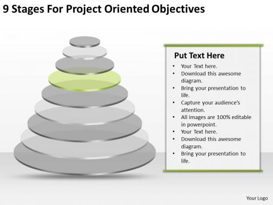 Project Oriented Objectives Ppt How To Write A Business Plan PowerPoint ...