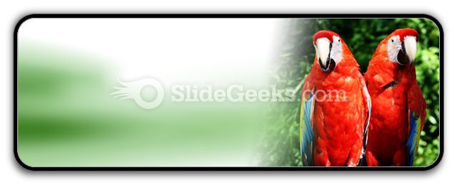 red_parrots_powerpoint_icon_r.jpg