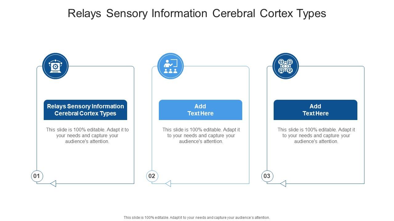 Relays Sensory Information Cerebral Cortex Types In Powerpoint And