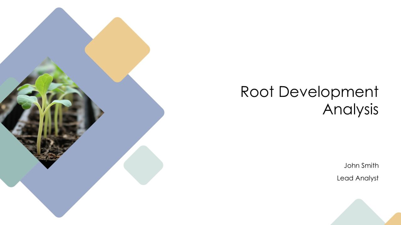 Root Development Analysis PPT Guidelines AT