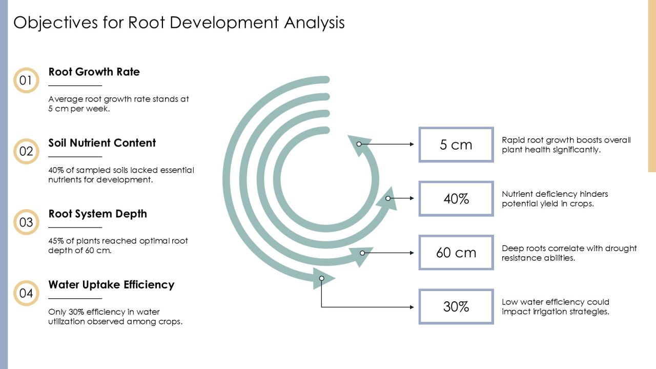 Root Development Analysis PPT Guidelines AT Slide06
