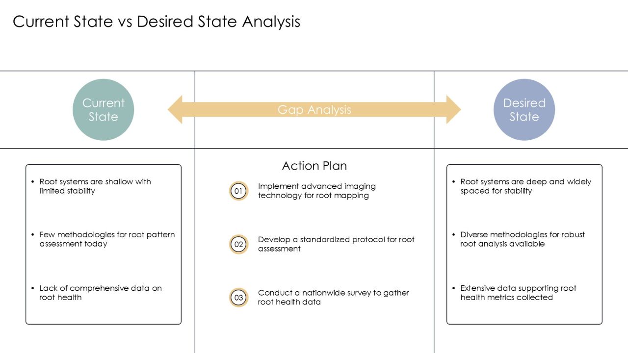 Root Development Analysis PPT Guidelines AT Slide09