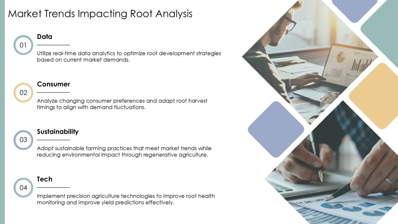 Root Development Analysis PPT Guidelines AT Slide17