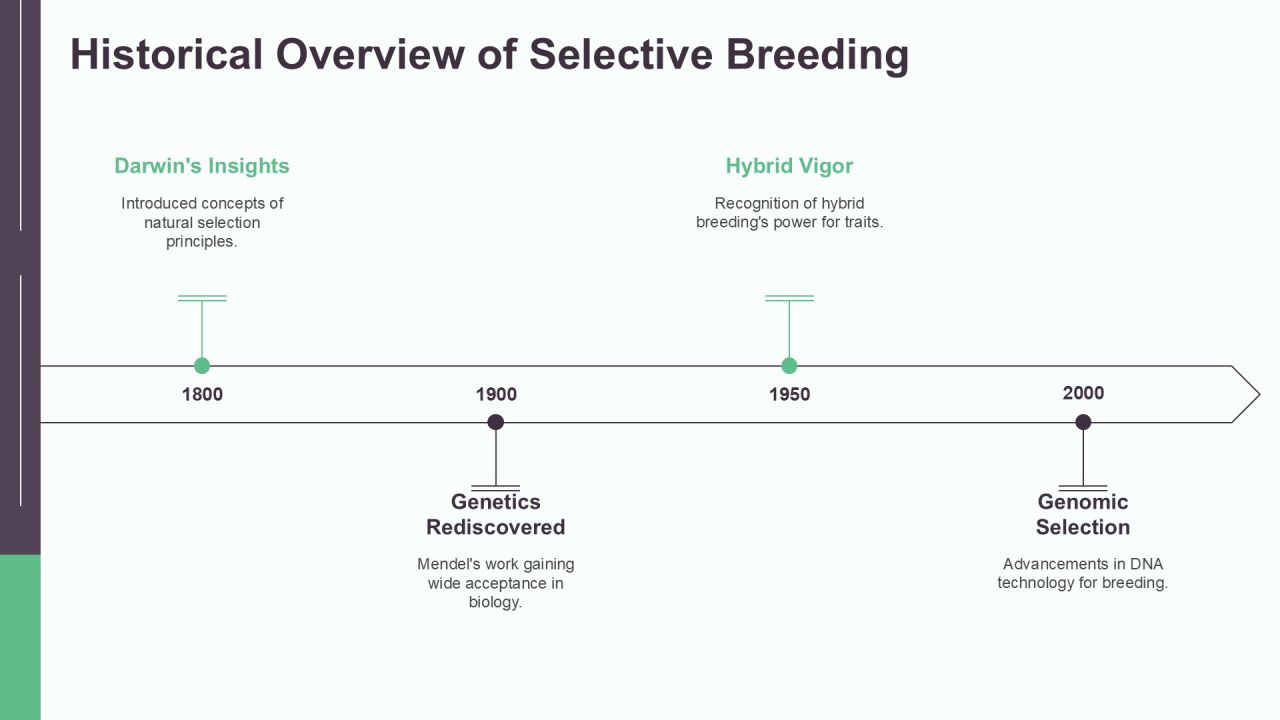 Selective Breeding Genetics Explained PPT Guidelines AT Slide05