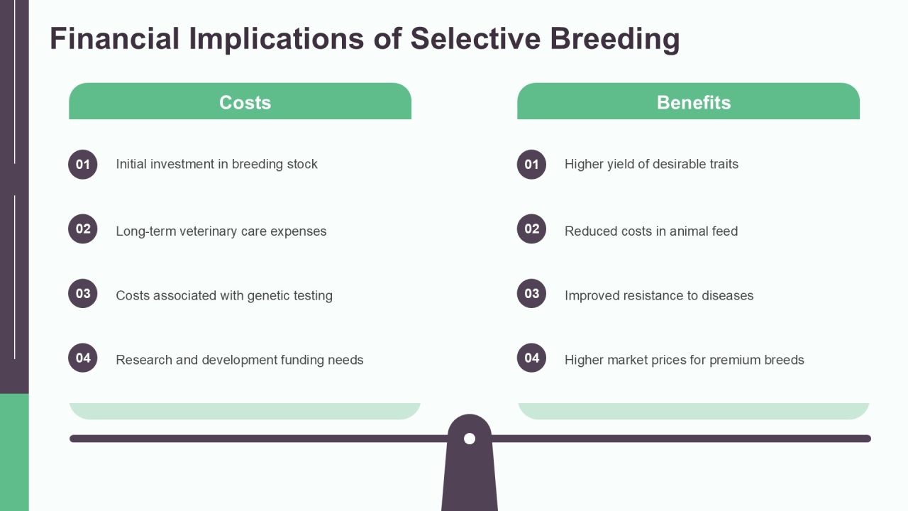 Selective Breeding Genetics Explained PPT Guidelines AT Slide24