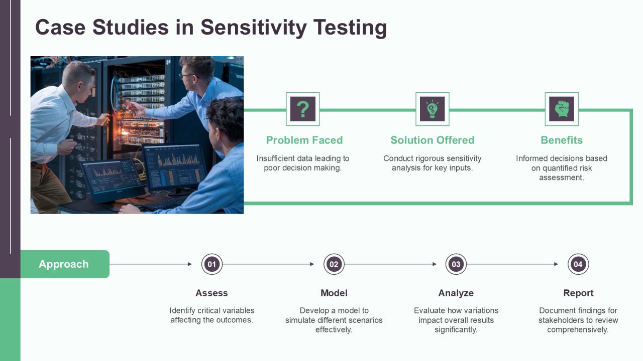 Sensitivity Analysis Testing Techniques PPT Designs AT Slide17