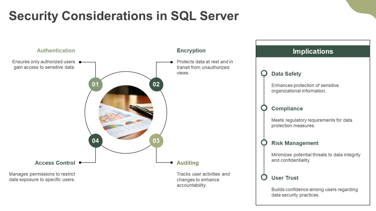 Sql Server Reporting And Integration Services Architecture PPT Demonstration AT Slide13