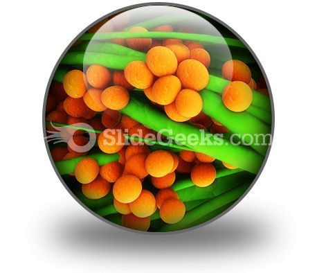 staphylococcus_science_powerpoint_icon_c.jpg