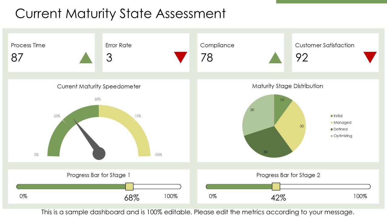 Steps To Achieve Optimizing Level Capability Maturity PPT Outline AT Slide06