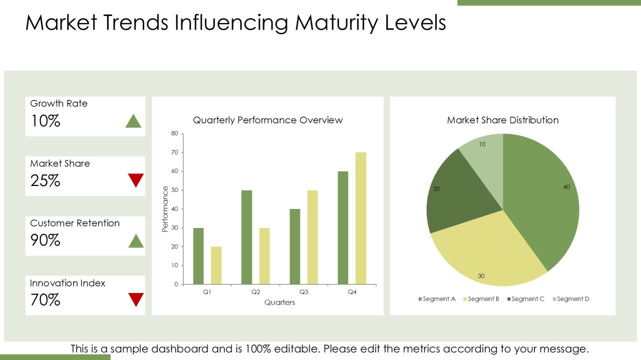 Steps To Achieve Optimizing Level Capability Maturity PPT Outline AT Slide14
