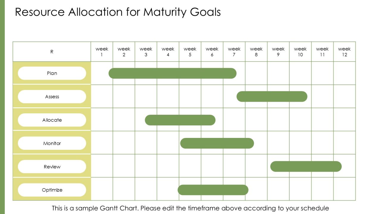 Steps To Achieve Optimizing Level Capability Maturity PPT Outline AT Slide16