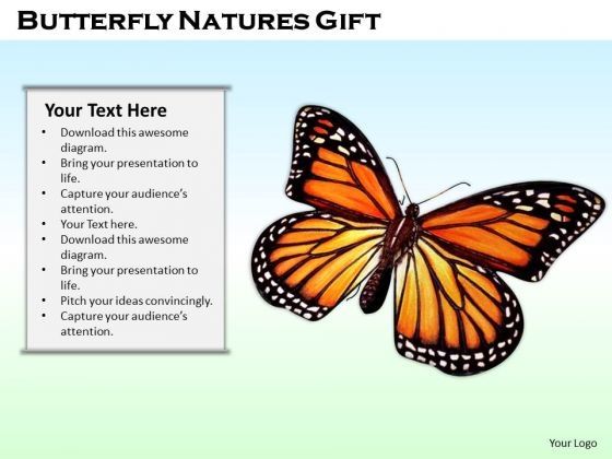 stock_photo_butterfly_natures_gift_powerpoint_template_1.jpg