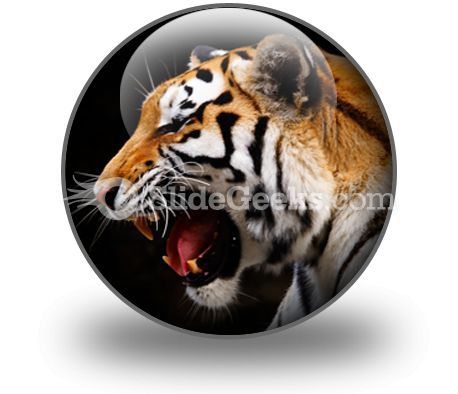 tiger_powerpoint_icon_c.jpg