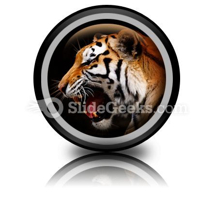 tiger_powerpoint_icon_cc.jpg