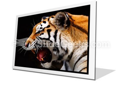 tiger_powerpoint_icon_f.jpg