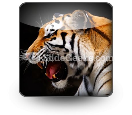 tiger_powerpoint_icon_s.jpg