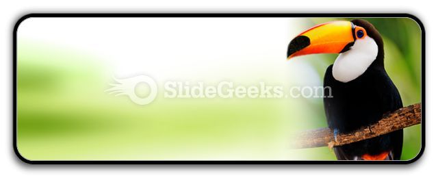 toucan_powerpoint_icon_r.jpg