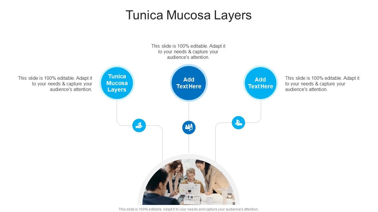 Tunica mucosa layers in powerpoint and google slides cpb