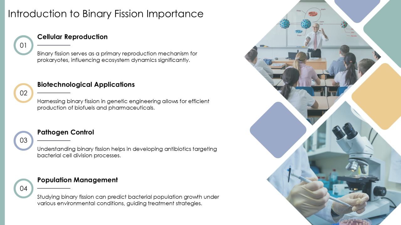 Understanding Binary Fission Process PPT Sample AT Slide03