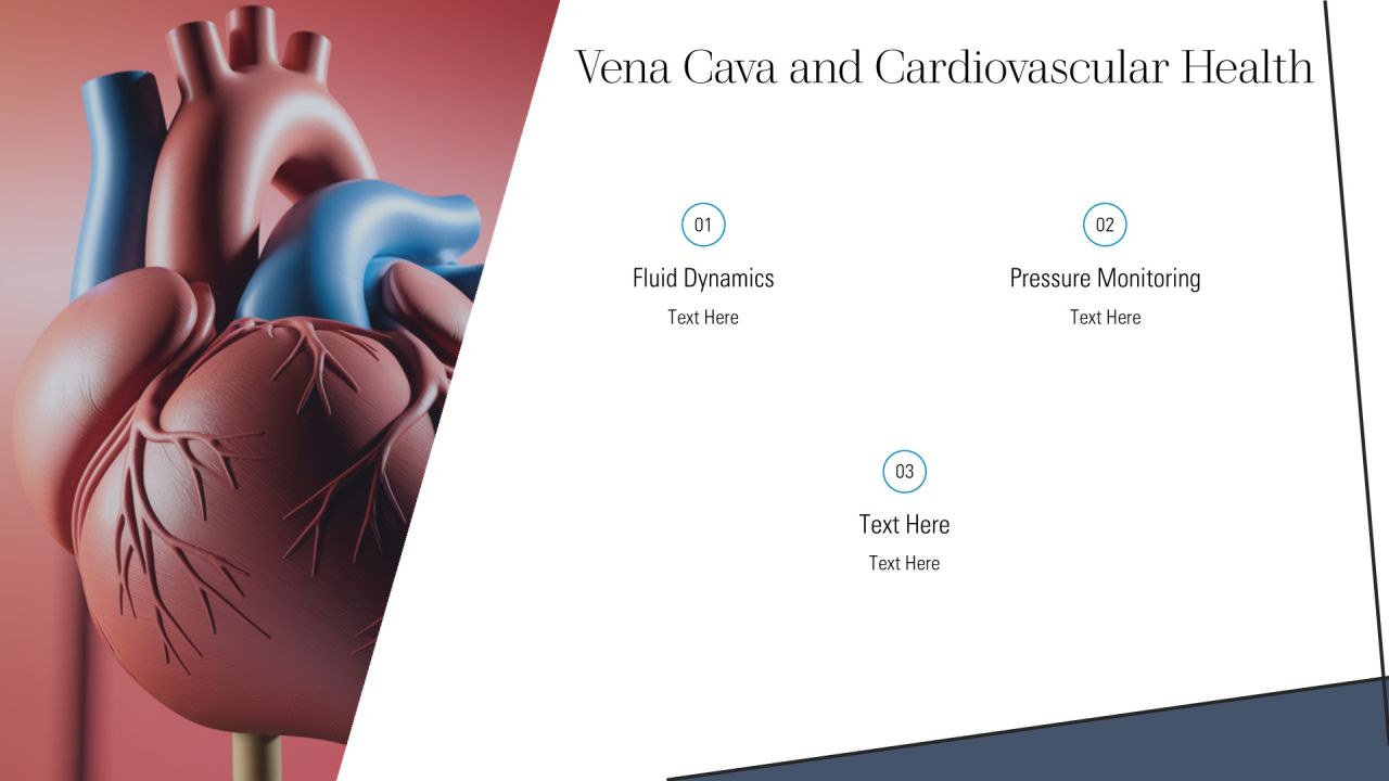 Understanding Vena Cava And Function PPT Example AT Slide13