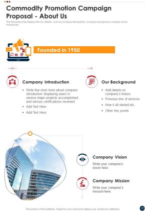 Commodity Promotion Campaign Proposal Example Document Report Doc Pdf Ppt Slide12