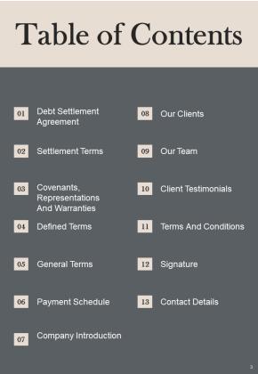 Loan Settlement Agreement Example Document Report Doc Pdf Ppt Slide03