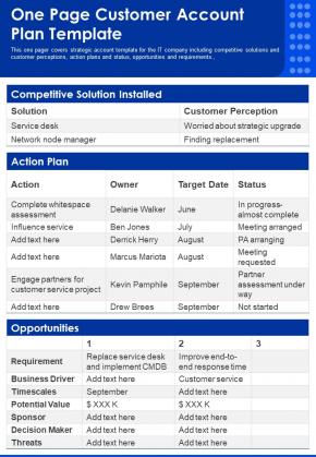 One Page Customer Account Plan Template PDF Document PPT Template