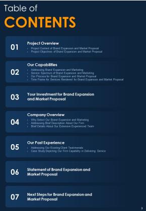 Proposal For Brand Expansion And Marketing Example Document Report Doc Pdf Ppt Slide03