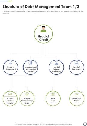Structure Of Debt Management Team One Pager Sample Example Document Slide01