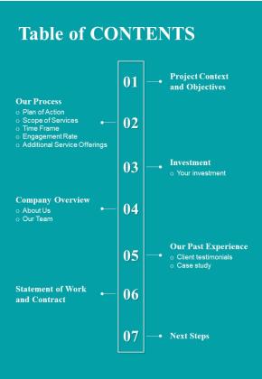 Table Of Contents Brand Representative Proposal Template One Pager Sample Example Document Slide01