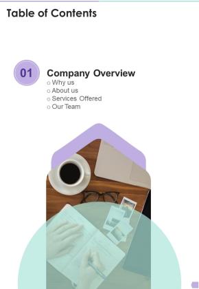 Table Of Contents Debt Management Process Proposal One Pager Sample Example Document Slide01