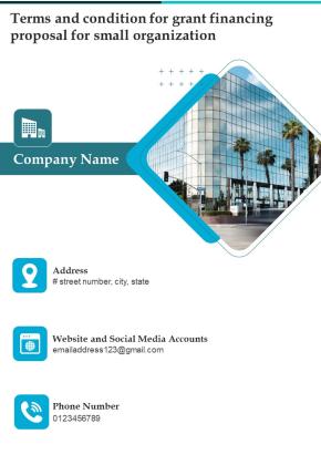 Terms And Condition For Grant Financing Proposal For Small Organization One Pager Sample Example Document Slide02