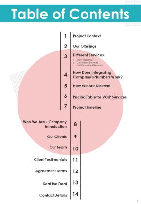 Voice Over Internet Protocol Telecommunications System Proposal Example Document Report Doc Pdf Ppt Slide03