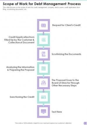 Debt Management Process Proposal Example Document Report Doc Pdf Ppt