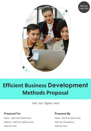 Efficient Business Development Methods Proposal Example Document Report Doc Pdf Ppt