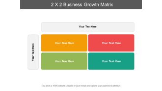 2X2 Business Growth Matrix Ppt PowerPoint Presentation Pictures Graphics Tutorials