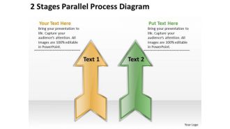 2 Stages Parallel Process Diagram Software Business Plan PowerPoint Templates