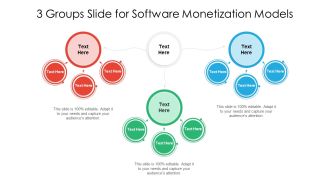 3 Groups Slide For Software Monetization Models Ppt PowerPoint Presentation File Grid PDF
