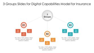 3 Groups Slides For Digital Capabilities Model For Insurance Ppt PowerPoint Presentation File Graphics Template PDF