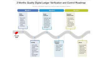 3 Months Quality Digital Ledger Verification And Control Roadmap Diagrams