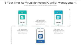 3 Year Timeline Visual For Project Control Management Ppt PowerPoint Presentation Gallery Introduction PDF