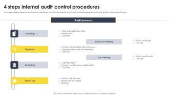 4 Steps Internal Audit Control Procedures Demonstration PDF