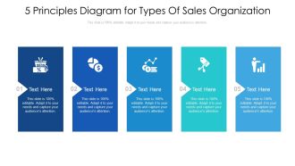 5 Principles Diagram For Types Of Sales Organization Ppt PowerPoint Presentation Gallery Topics PDF
