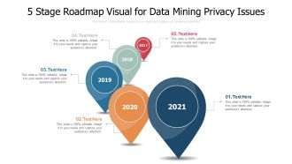 5 Stage Roadmap Visual For Data Mining Privacy Issues Ppt PowerPoint Presentation Icon Outline PDF