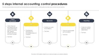 5 Steps Internal Accounting Control Procedures Icons PDF